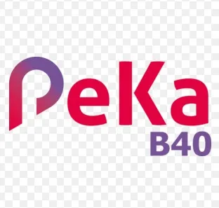 PeKa B40